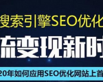SEO搜索引擎优化总监实战VIP课堂【透析2020最新案例】快速实现年新30W