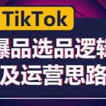 TikTok爆品选品逻辑及运营思路：解决网络环境快速入门TikTok