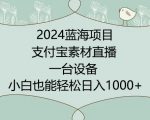 2024年蓝海项目，支付宝素材直播，无需出境，小白也能日入1000+ ，实操教程【揭秘】